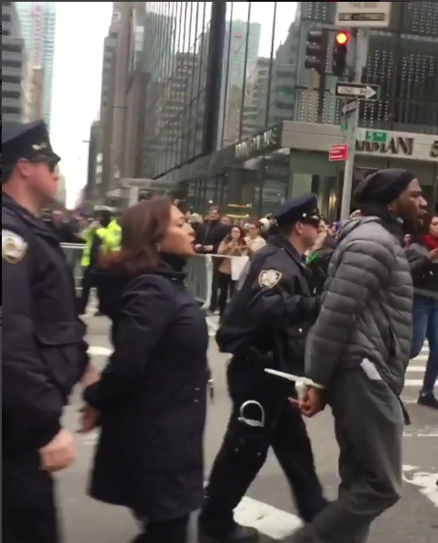 Senadora de NY, Marisol Alcántara, es detenida por protestar contra Trump