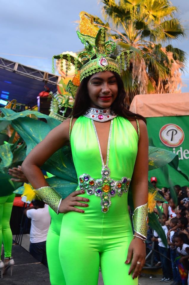 Carnaval Barriga Verde en imágenes